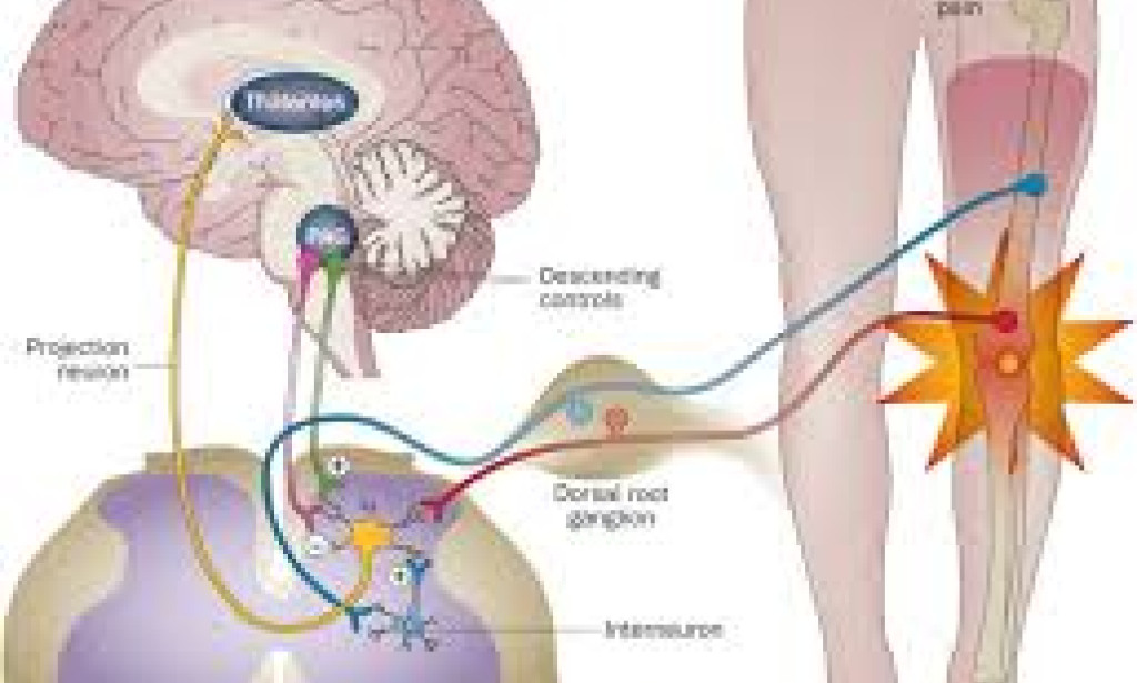 Managing Osteoarthritis Symptoms with Celebrex 200 mg