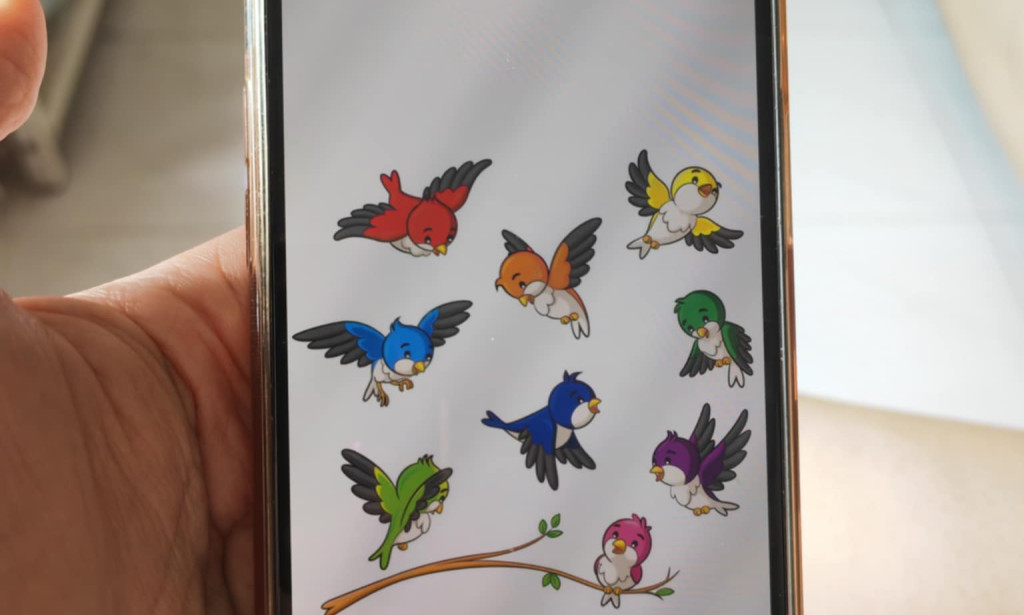 Is Birds Catch Now Legit? The Shocking Truth About This Game Scam