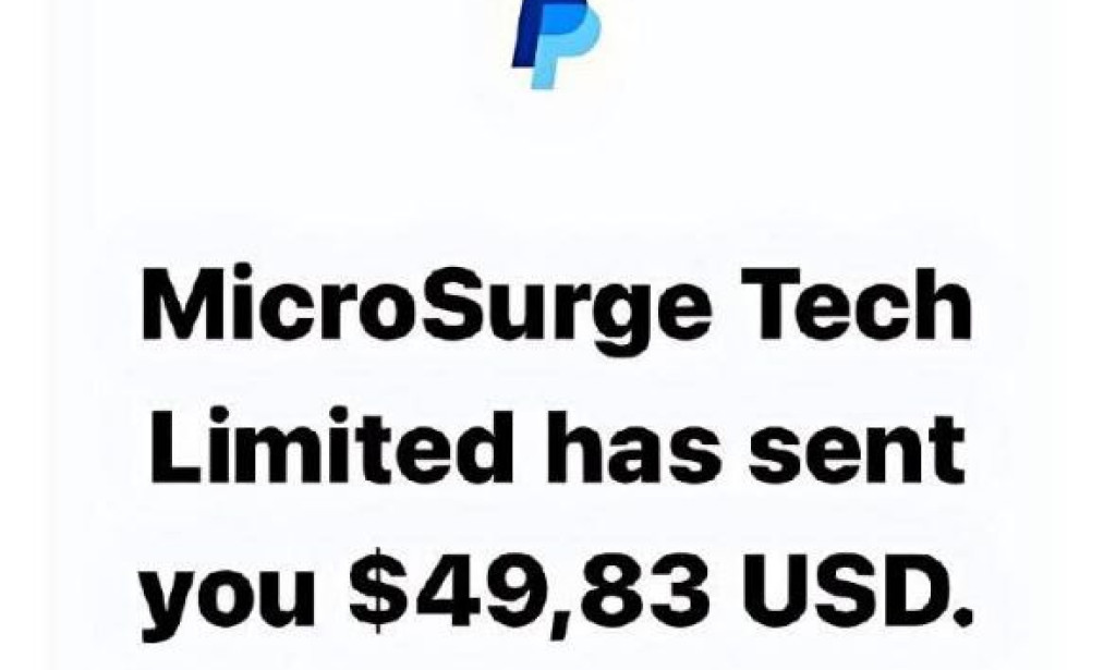 Back Fight App Review 2025: Legit Earning or Global Scam?