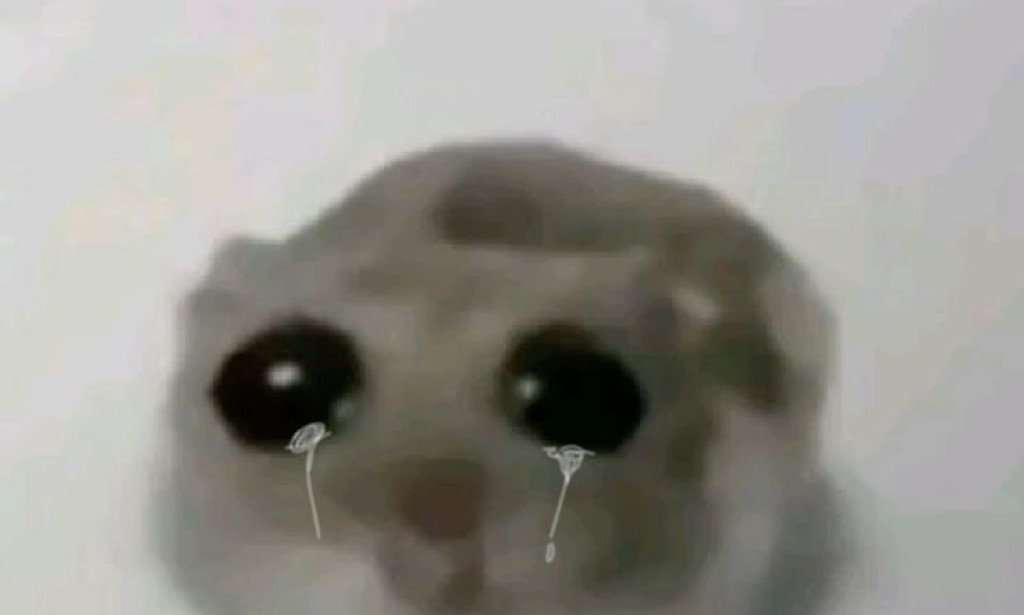 Get Paid to Brush a Virtual Cat That Hates You 😾🪥📱