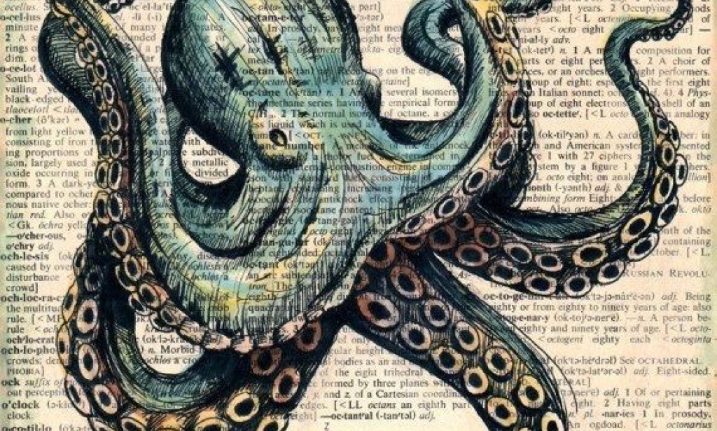 They Paid Me to Choose a Sock for an Octopus 🧦🐙💰