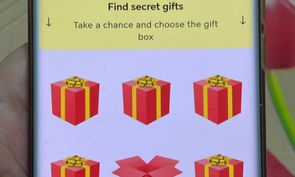 Cryptomania – Scam or Legit? Review of CEO, Earnings, and Red Flags