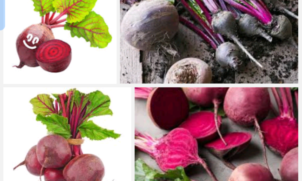 Everything about science