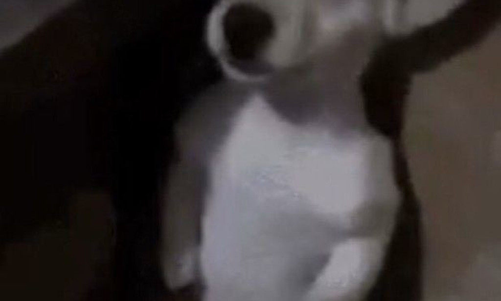 I Made Money Just by Typing Funny Sentences for AI Testing 🤖💸