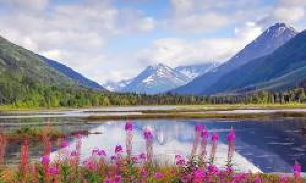 The Wanderer's Heart: Why We Journey, and What We Find