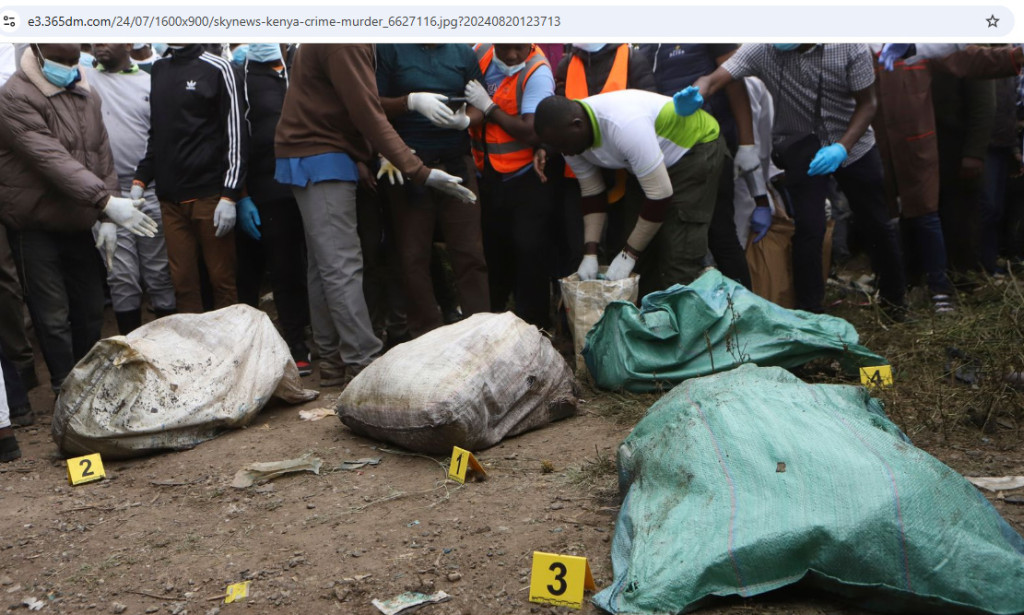 🧠 Inside the Mind of Madness: The Chilling Psychology of James and the Haunting Aftermath