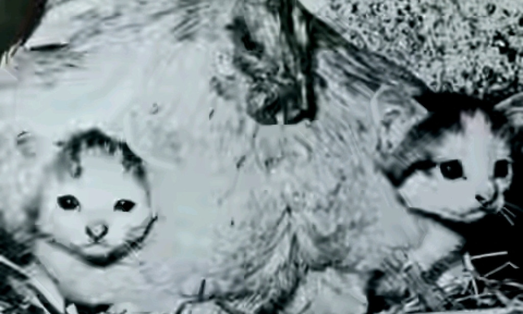 Love often appears where reason least expect it.