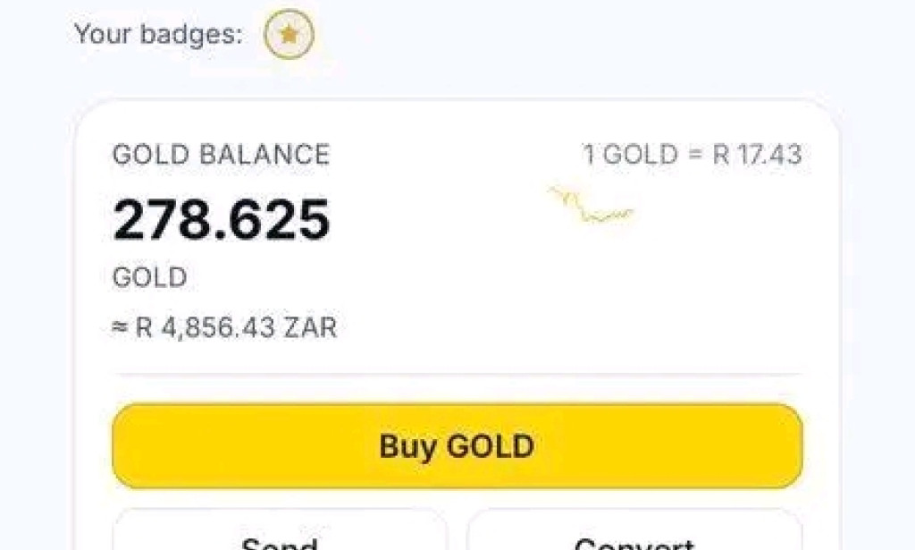 Is GoldNova.digital a Scam? 2025 Honest Review with R2,300 Payment Proof
