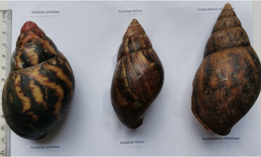 Is Money Easy to Make? Can Everyone Be Rich? How to Stop Chasing Money and Let It Flow to You