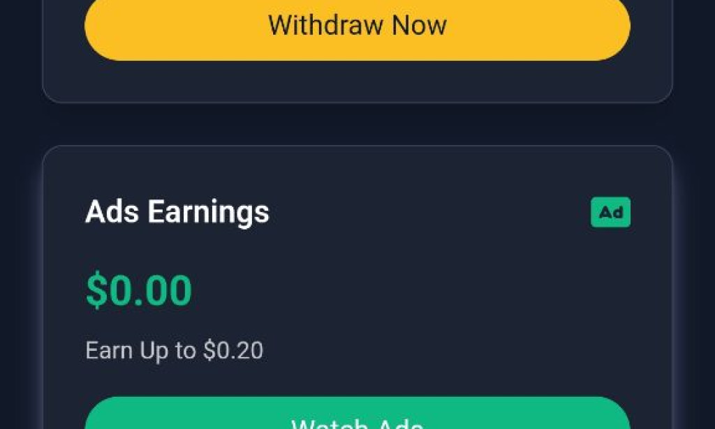 Berzily Review 2026: Is It a Legit Earning Site or a Scam? (Full Analysis)