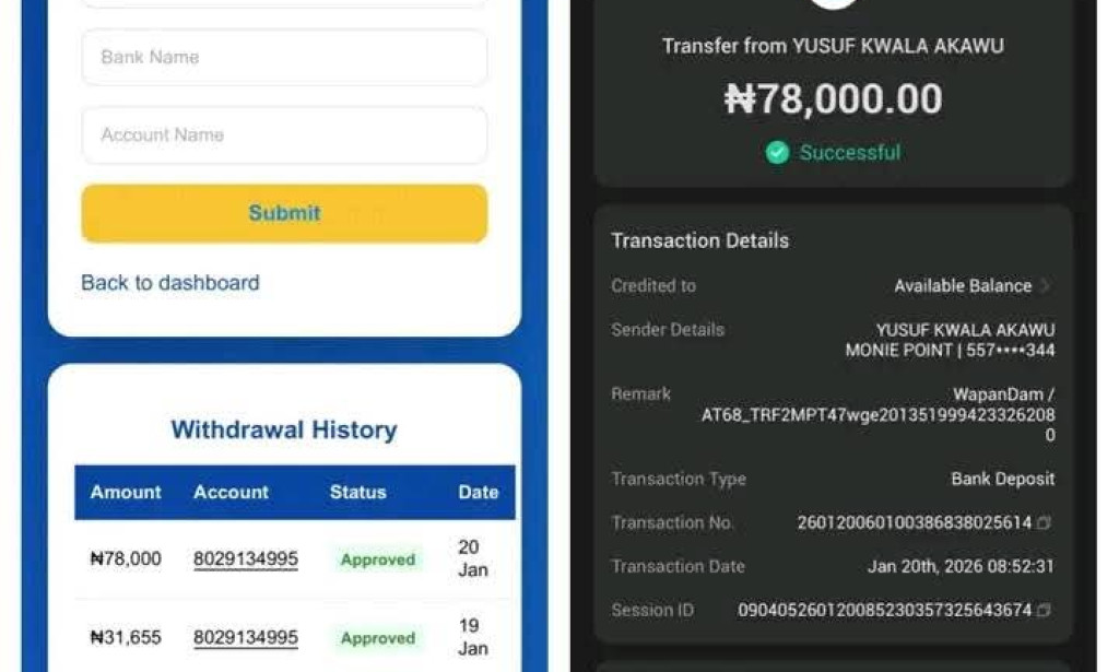 Is Wapandam Safe? 2026 Scam or Legit Check