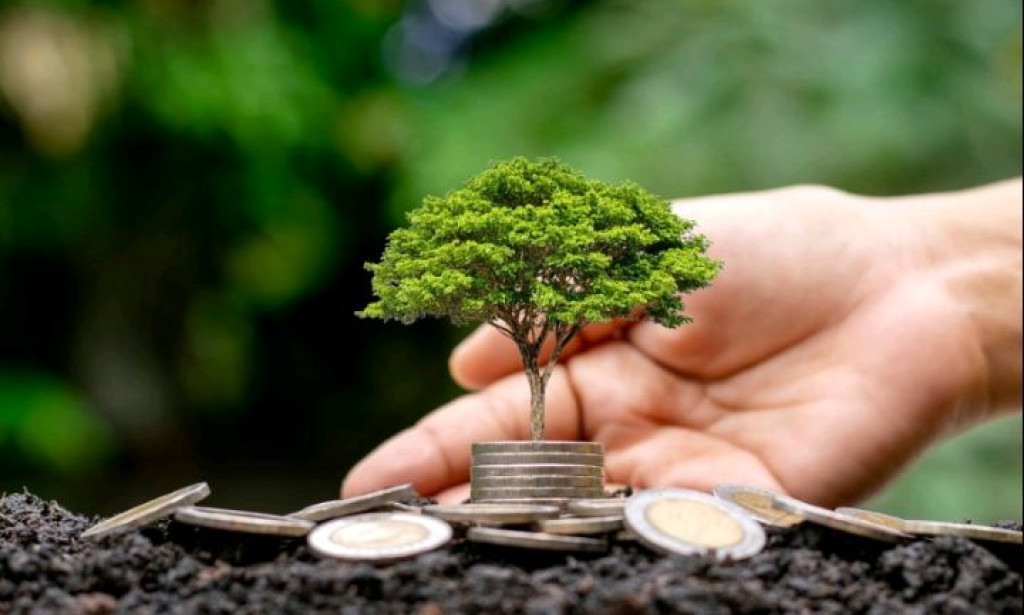 HOW TO MAKE MONEY WITH ZERO-CAPITAL