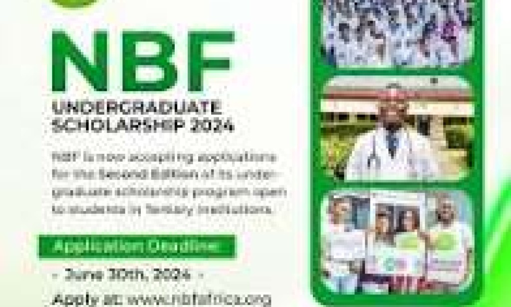 How to Find Undergraduate Scholarship in Nigeria