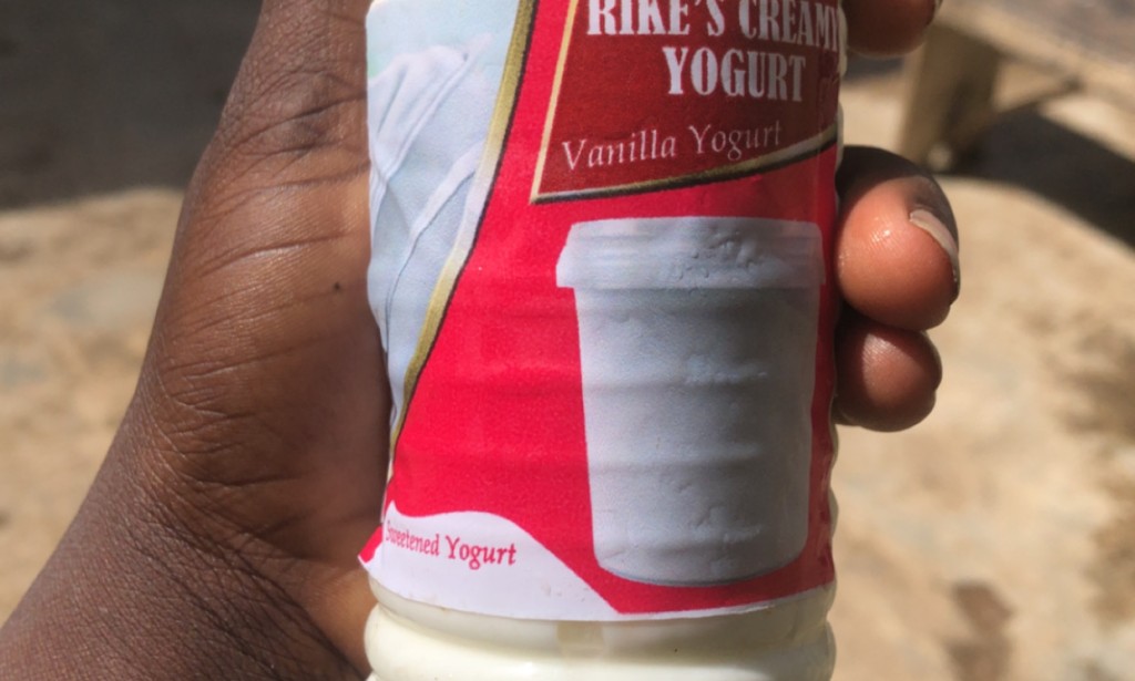 How to Make Thick Homemade Yogurt With 3 Ingredients: Milk, Yogurt Culture and Water